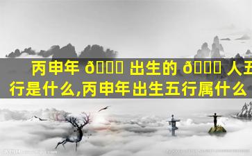 丙申年 🐞 出生的 🐟 人五行是什么,丙申年出生五行属什么